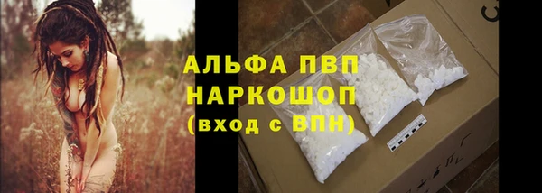 ПСИЛОЦИБИНОВЫЕ ГРИБЫ Аркадак