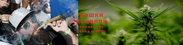 ПСИЛОЦИБИНОВЫЕ ГРИБЫ Аркадак